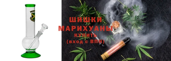 мдпв Горно-Алтайск