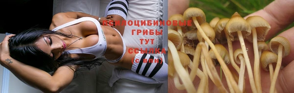 синтетический гашиш Горнозаводск
