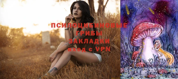эйфоретик Горняк
