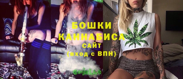 эйфоретик Горняк