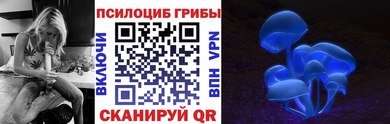 Купить закладки  Кондопога  Галлюциногенные грибы прущие грибы 